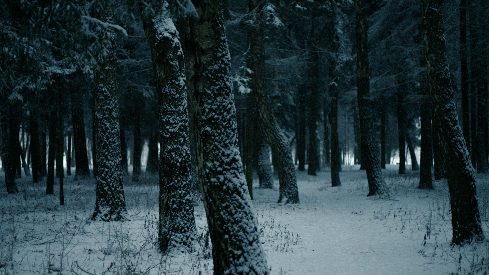 7. La neige les a bloqués