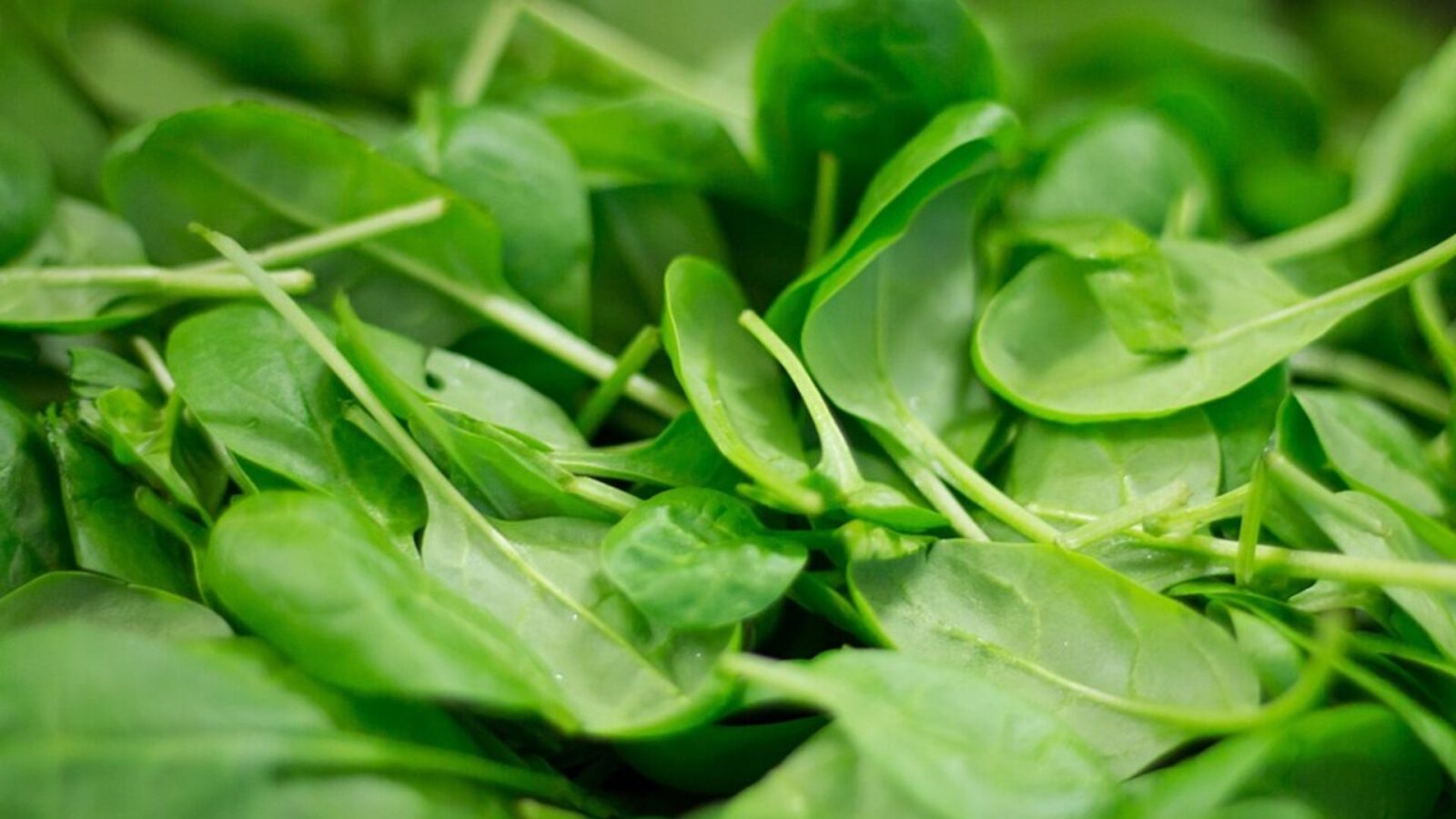 4. Popeye Sold Spinach, Not Bad Math