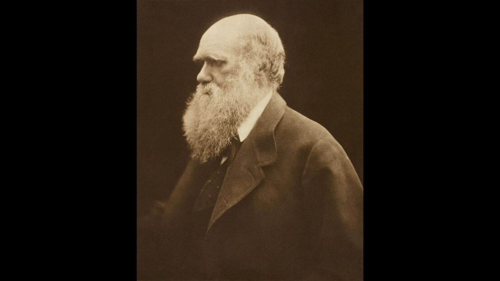 16. Darwin's Short Mornings Were Illness, Not Idleness