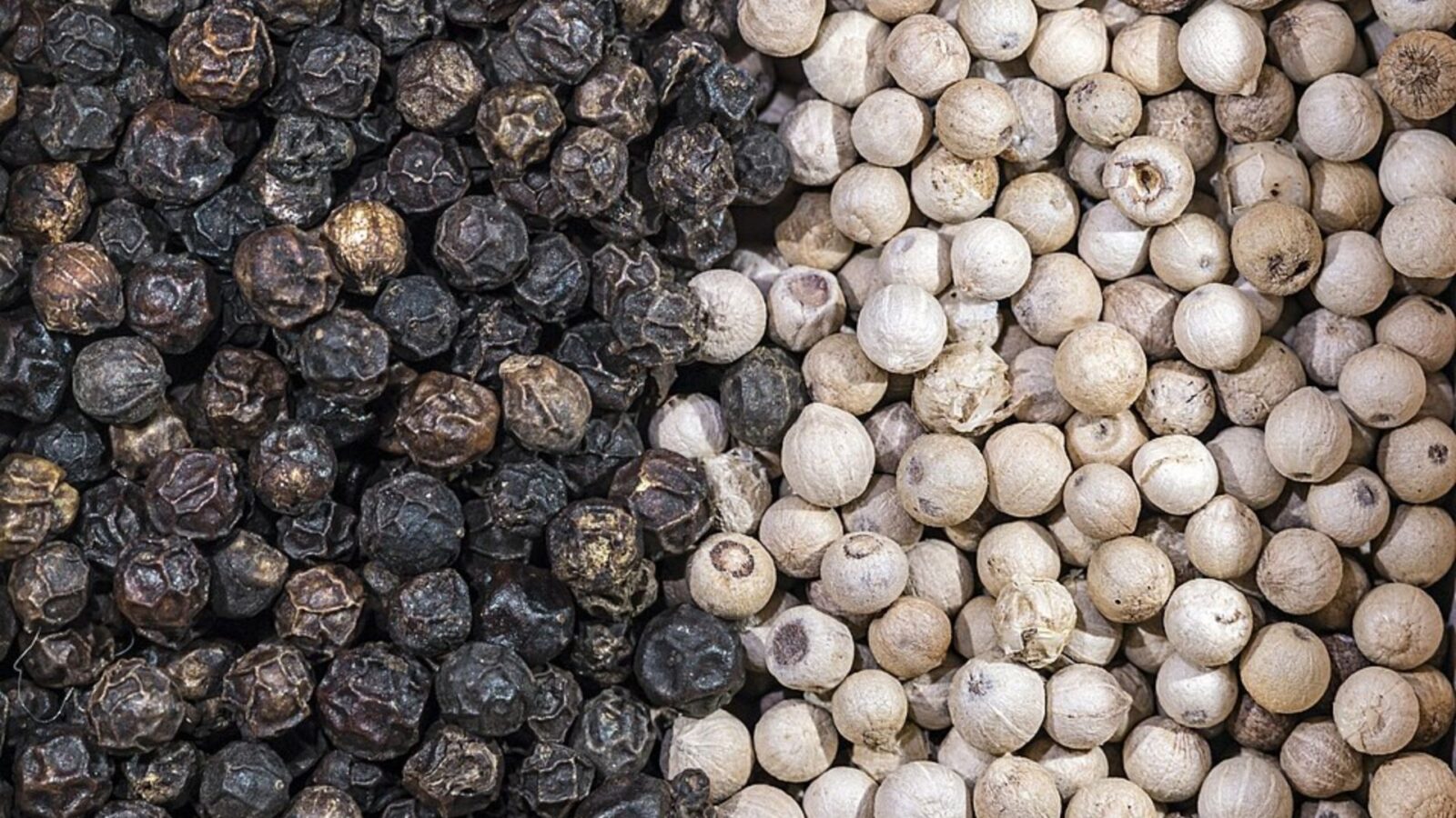 8. Ancient Rome Treated Peppercorns Like Gold
