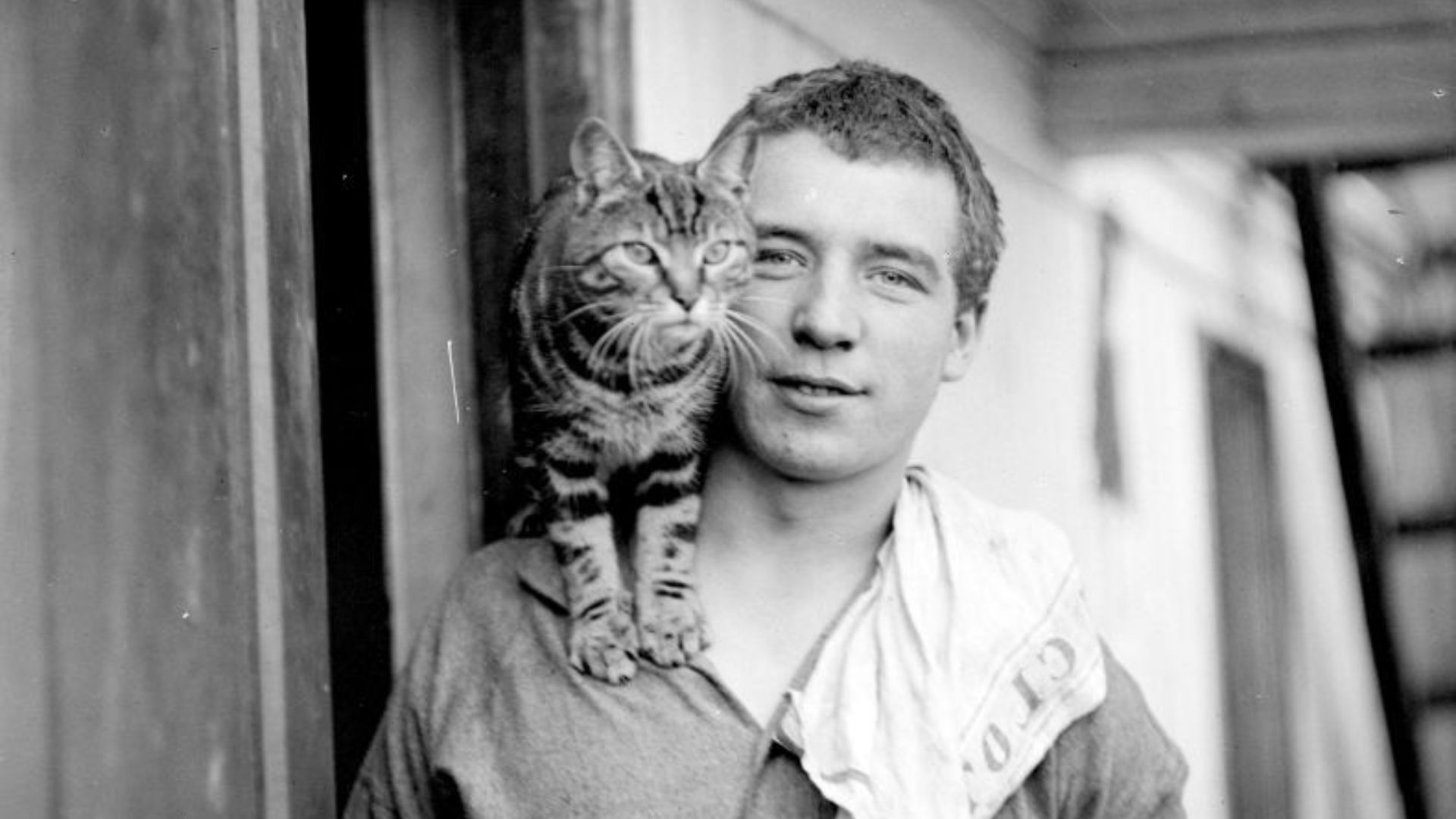 20 chats célèbres de l’histoire