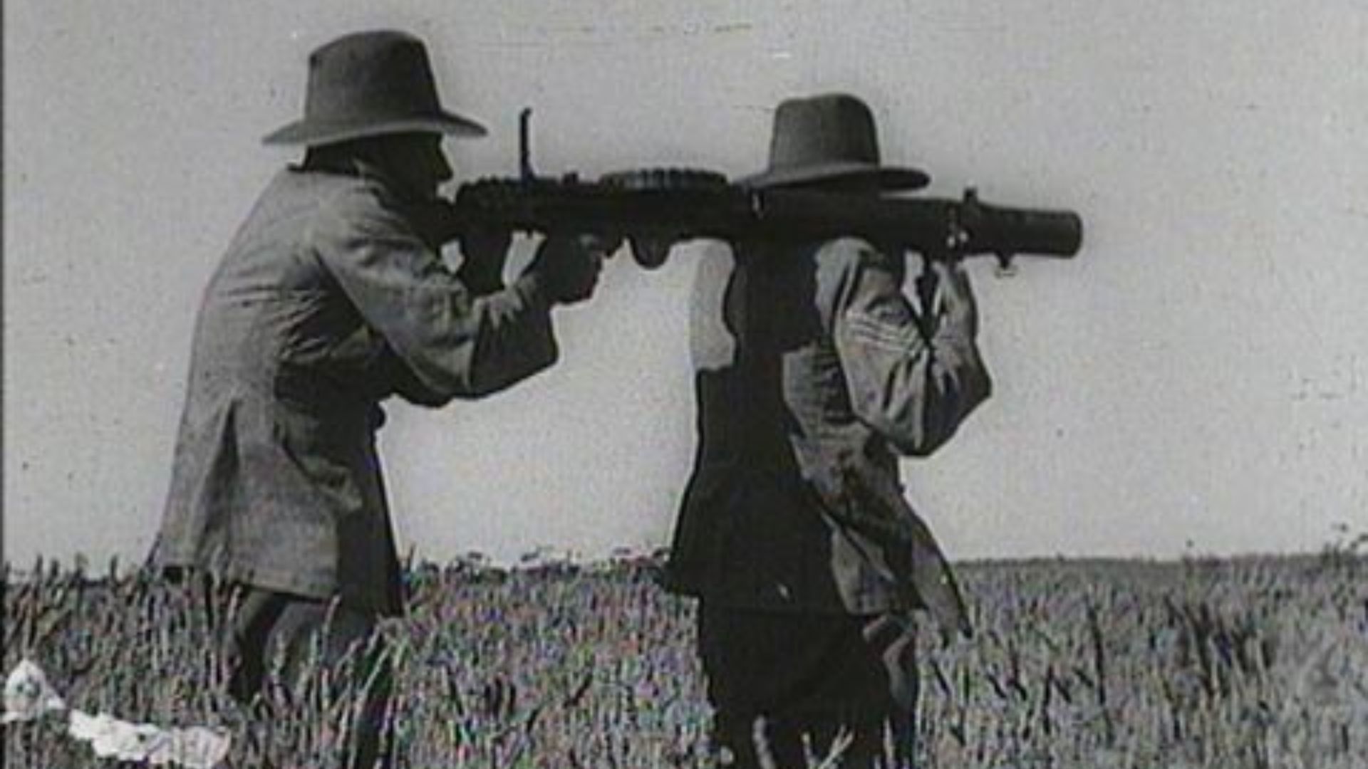 5. La Grande Guerre des émeus