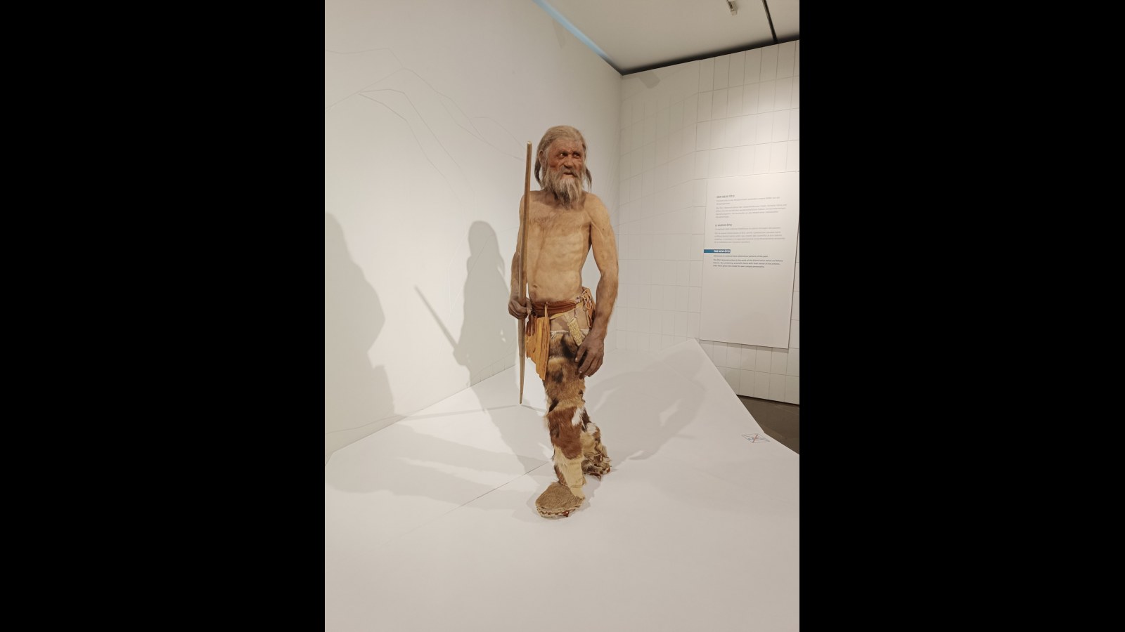 3. Ötzi The Iceman Was Murdered, Not Frozen By Accident