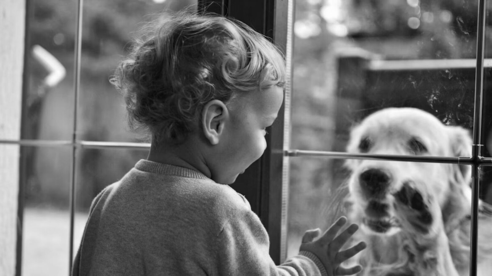 12. The Dog Stayed Home, And So Did The Kids