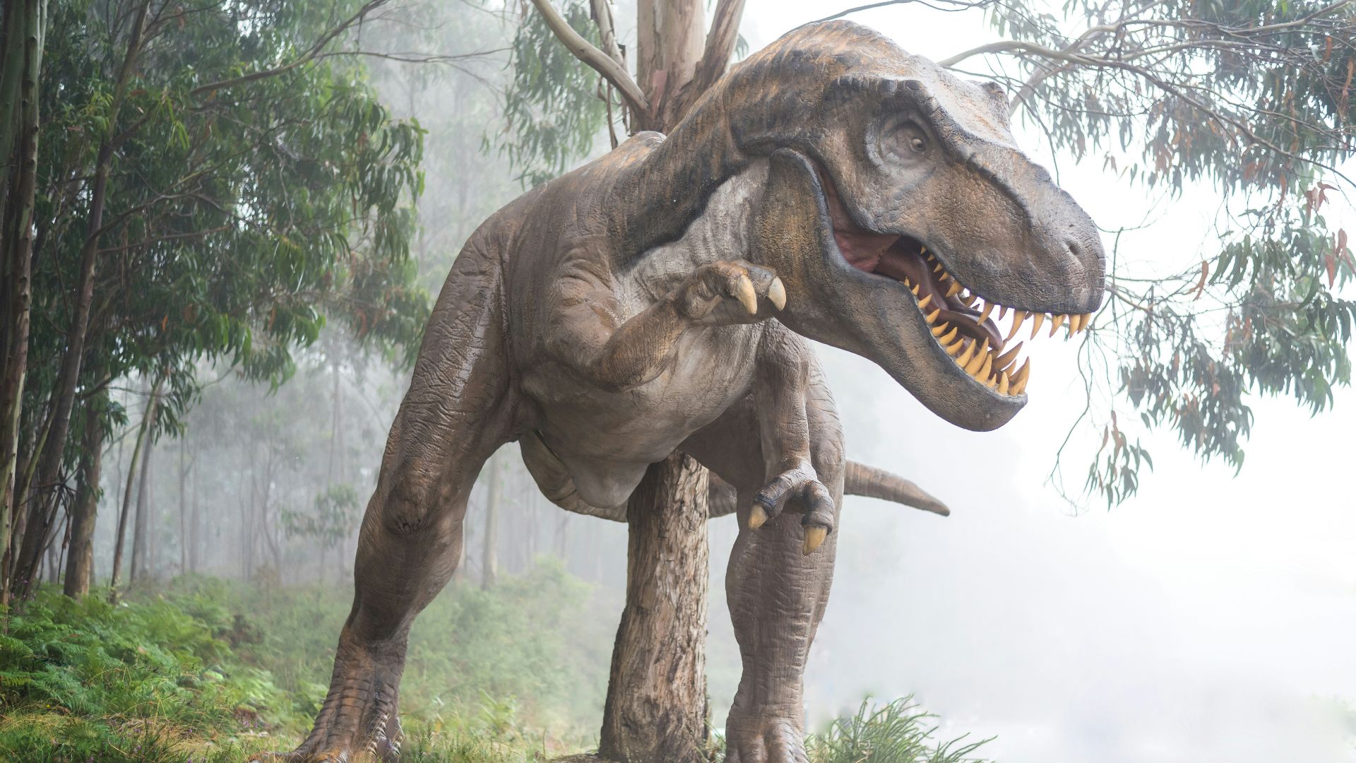 1. Tous les dinosaures étaient géants