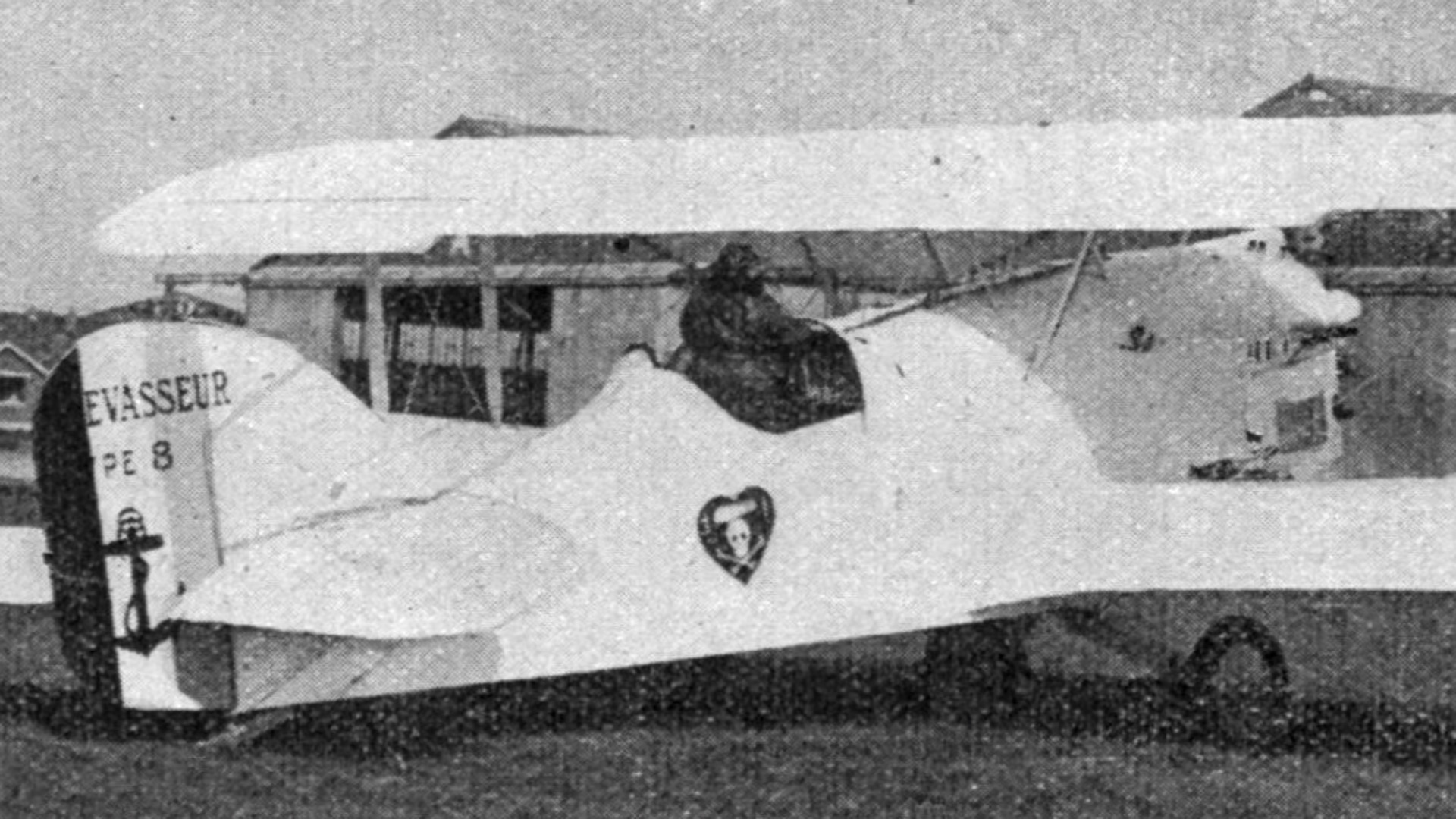 18. L'oiseau blanc