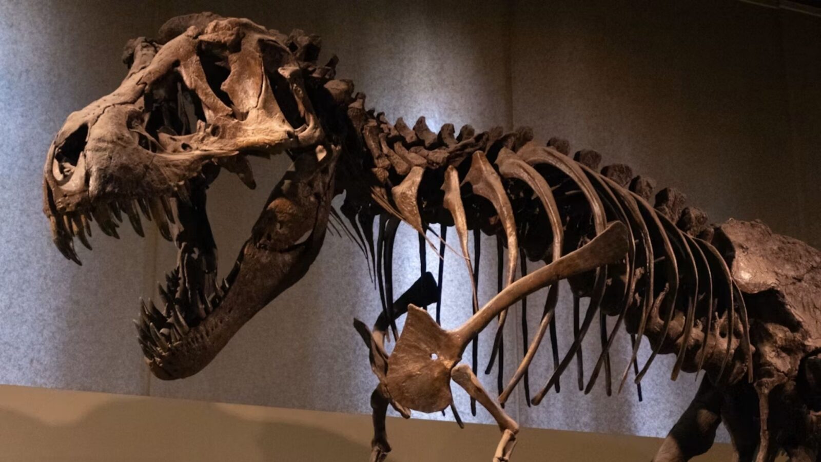 19. Dinosaur Hunting Got Weirdly Personal During The Bone Wars