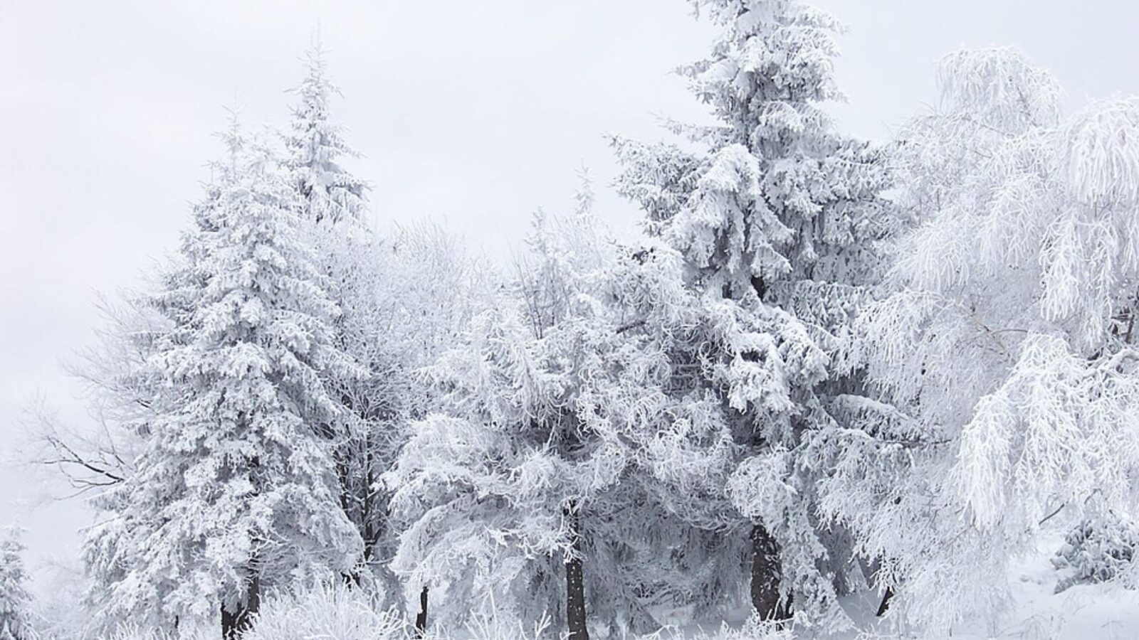7. So Summer Never Truly Arrived In 1816