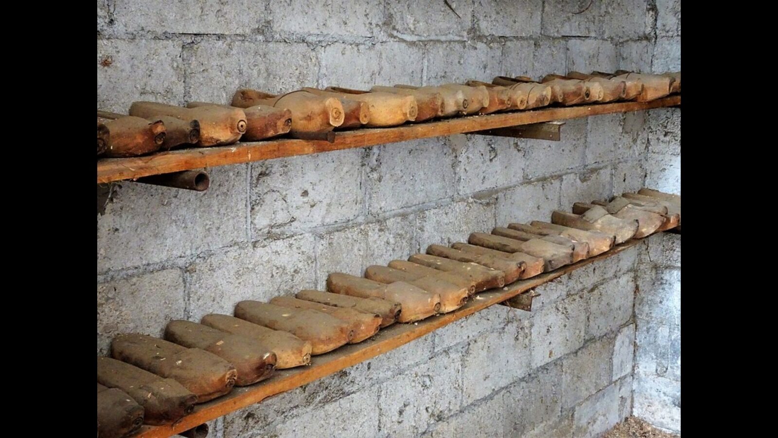 17. France Hung A Wooden Clog On Dialect Speakers