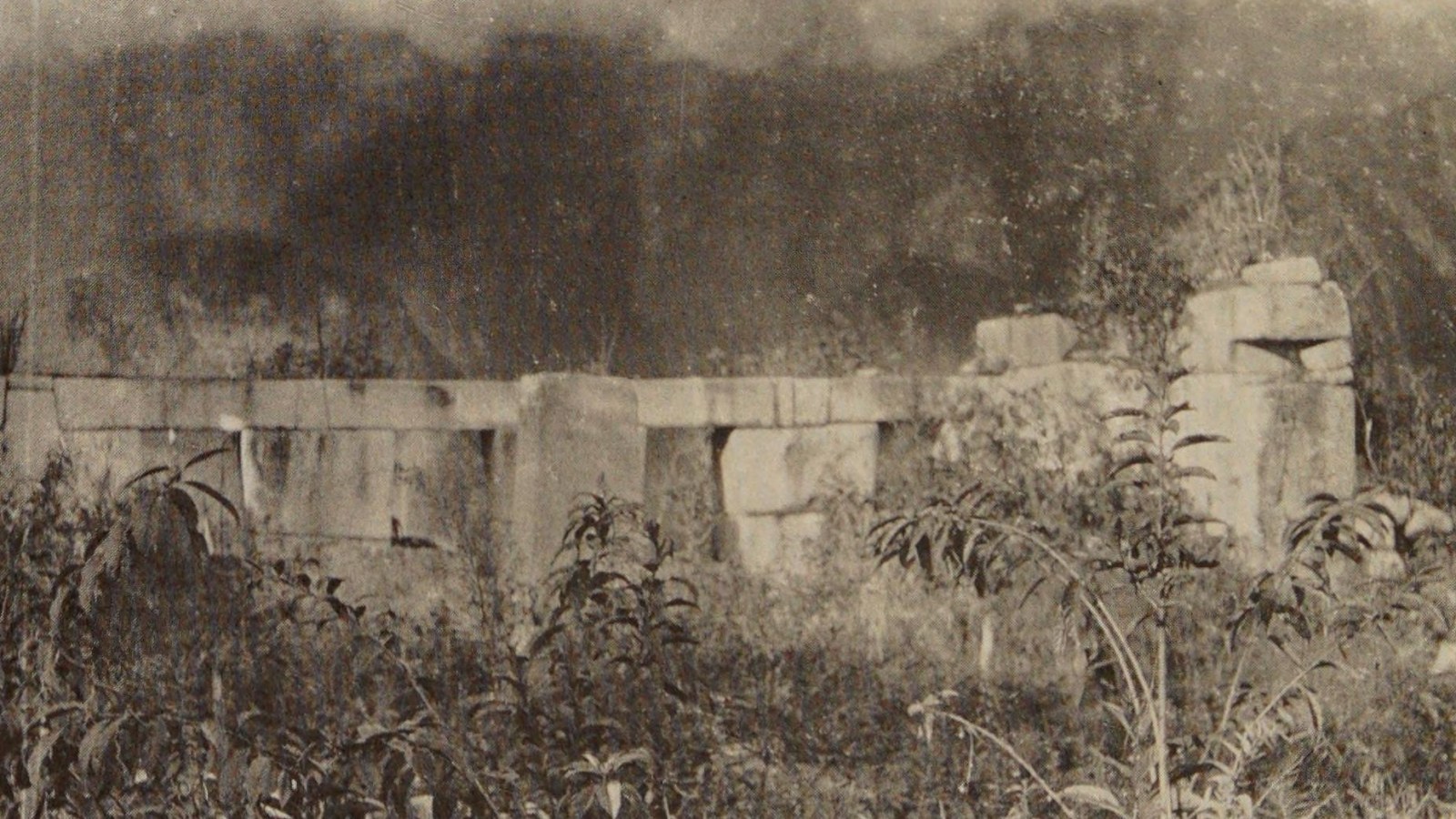 1. A Quechua Farmer Led Hiram Bingham Up To Machu Picchu
