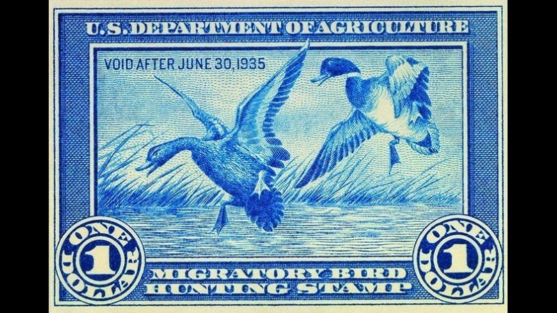 19. Duck Hunters Funded Conservation With A Postal Counter Stamp