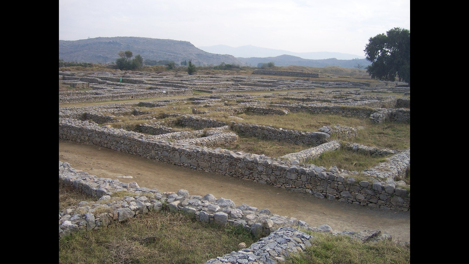 13. Alexander Cunningham Matched A Pilgrim's Diary To Taxila's Mounds