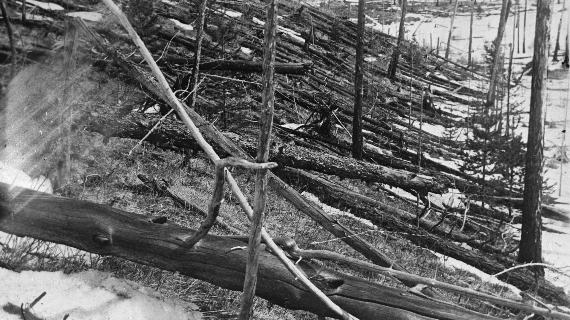 3. L'explosion de la Toungouska de 1908