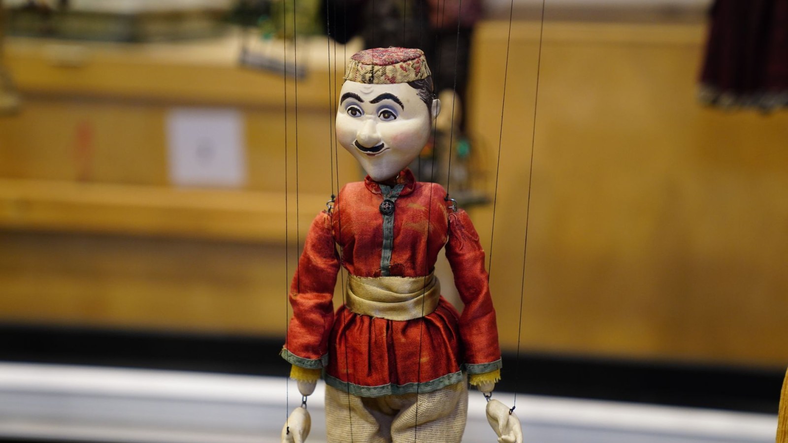 8. Les bibliothèques de Détroit et de Milwaukee ont envoyé des marionnettes à domicile pour des spectacles de marionnettes