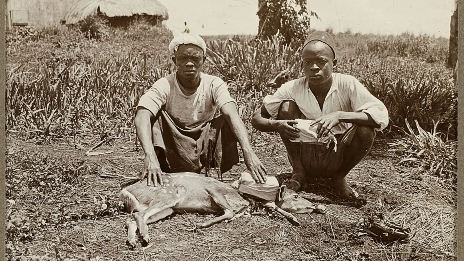 8. La maladie de la Belle au bois dormant
