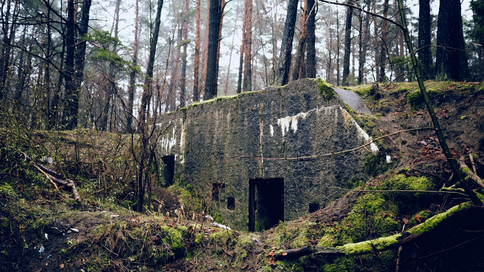 9. A Secret Bunker Sealed The Tower's Military Role