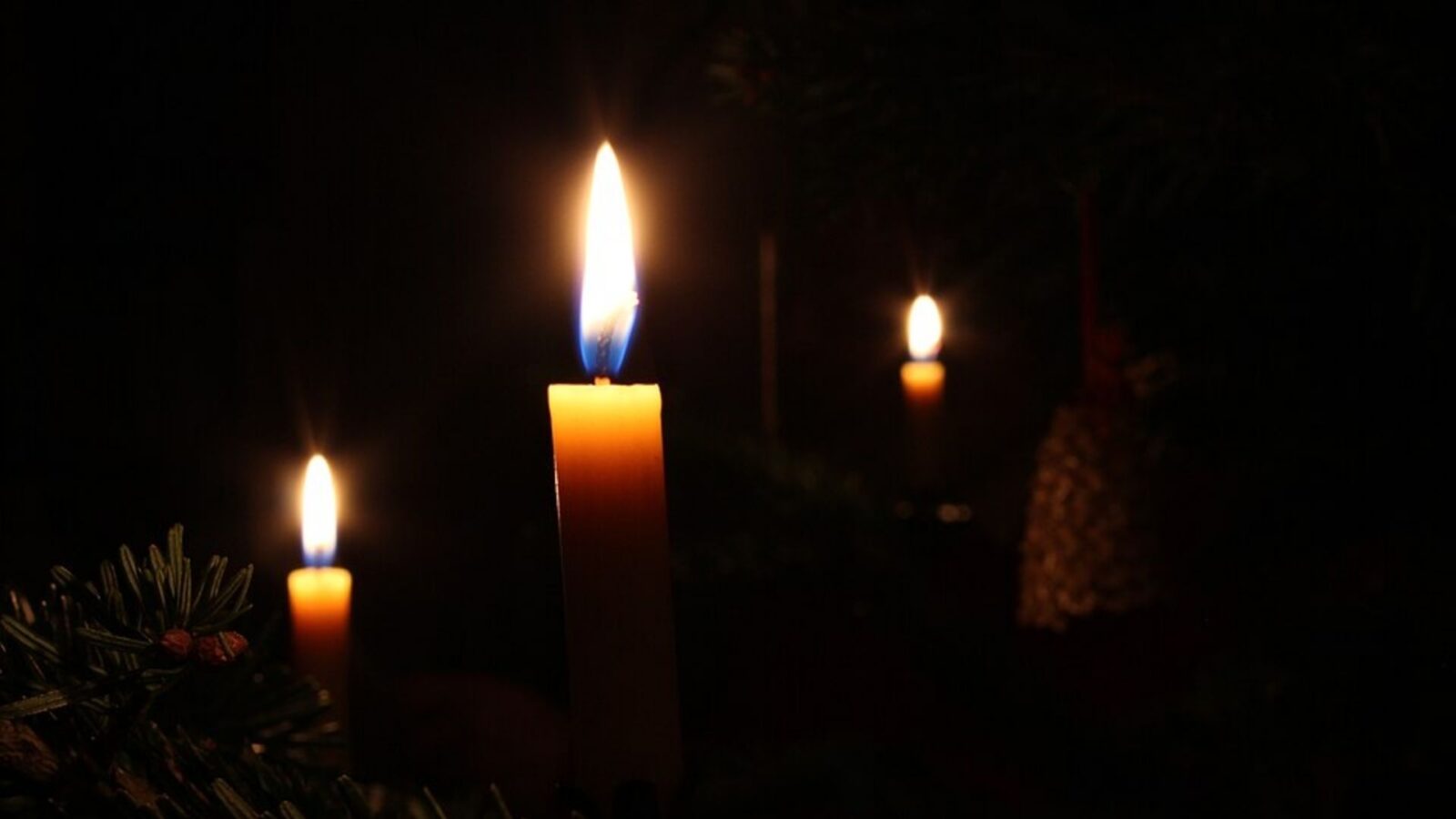 15. Beeswax From The Hives Lit Every Altar Candle
