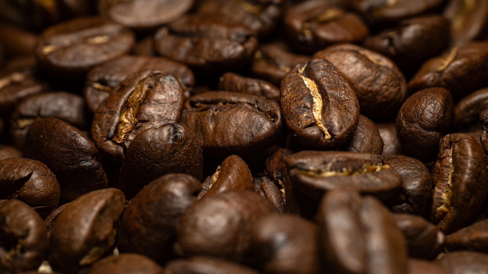 12. Victorian Dealers Molded Coffee Beans Out Of Clay