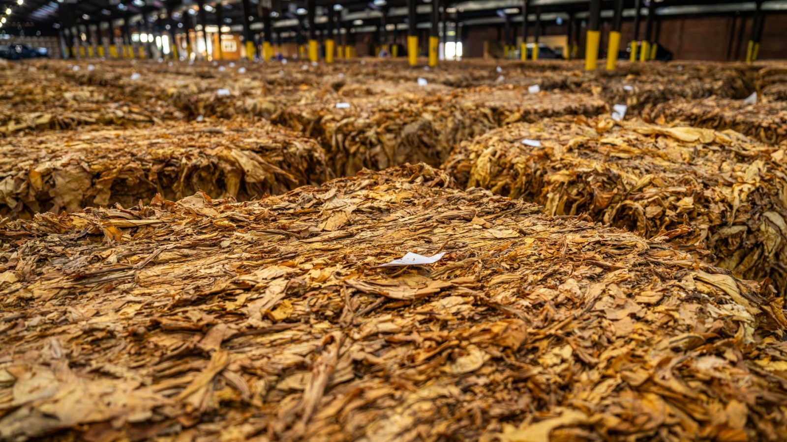11. La Virginie a transformé le tabac stocké dans des entrepôts en argent comptant