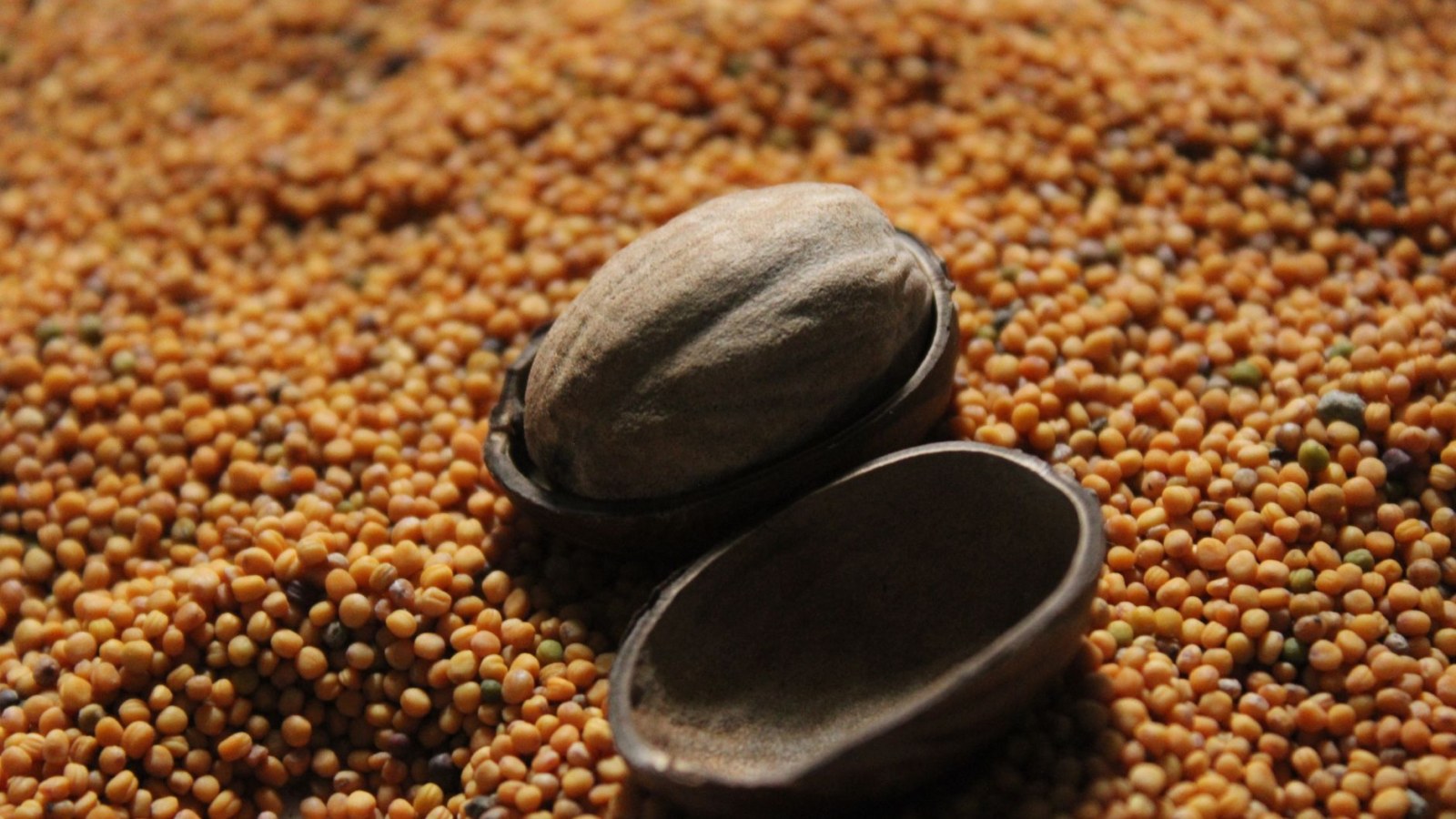 16. Lombard Mustard: Mustard Balls Sweetened With Honey And Spice