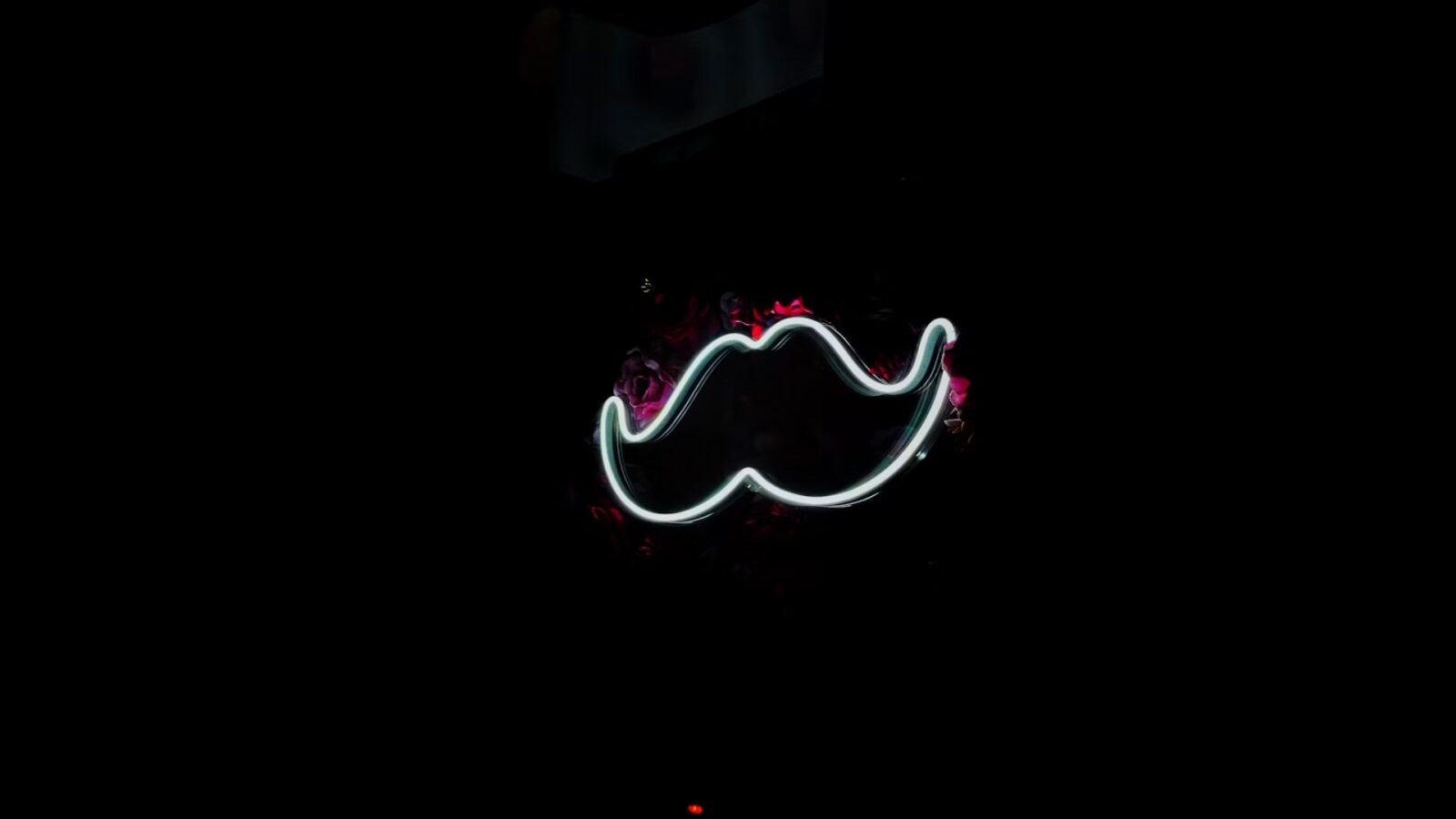 14. Se laisser pousser la moustache, perdre son héritage