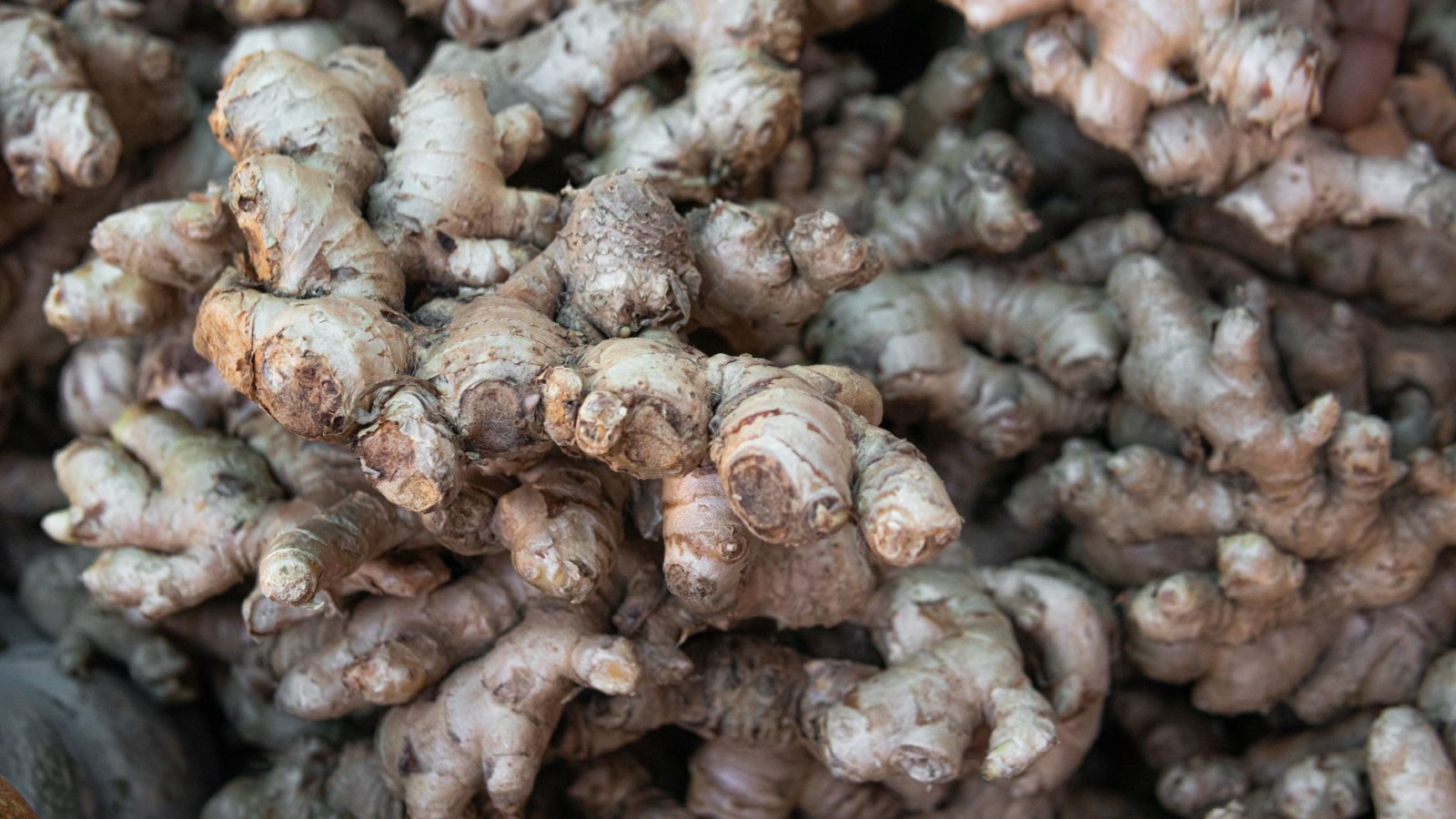 9. Galyntyne Sauce: Built On Galangal, The Forgotten Medieval Spice