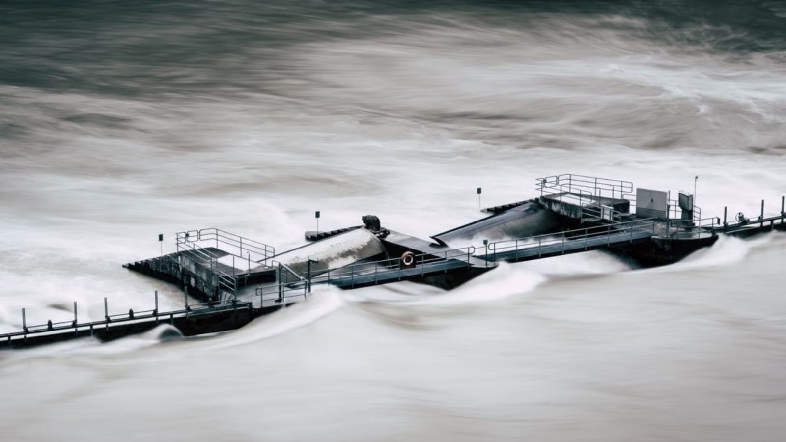 6. A Chicago Housewife's Flood Prophecy Birthed A Psychology Classic