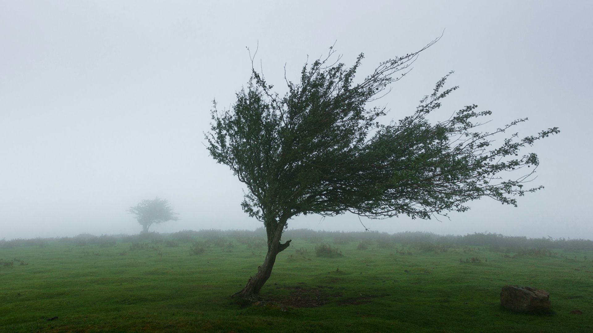 13. Un sifflement mystérieux dans le vent