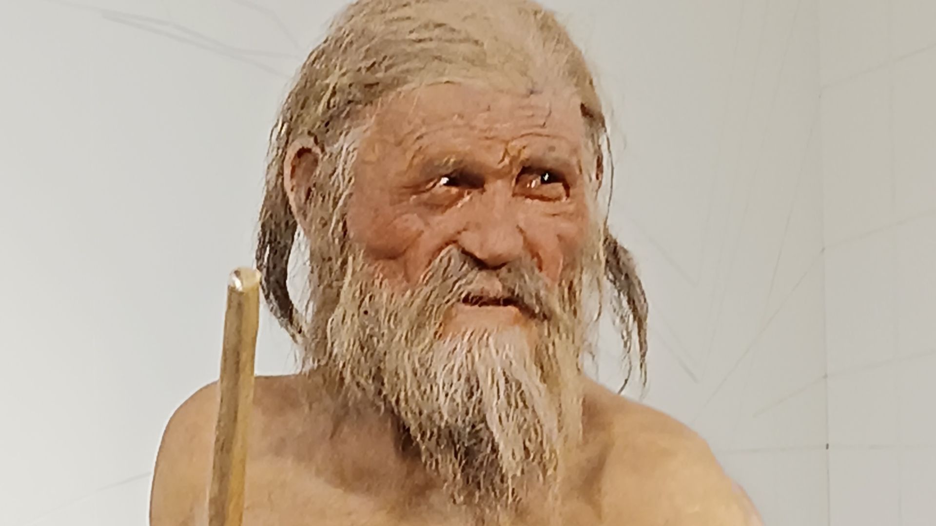 12. Ötzi portait une hache en cuivre