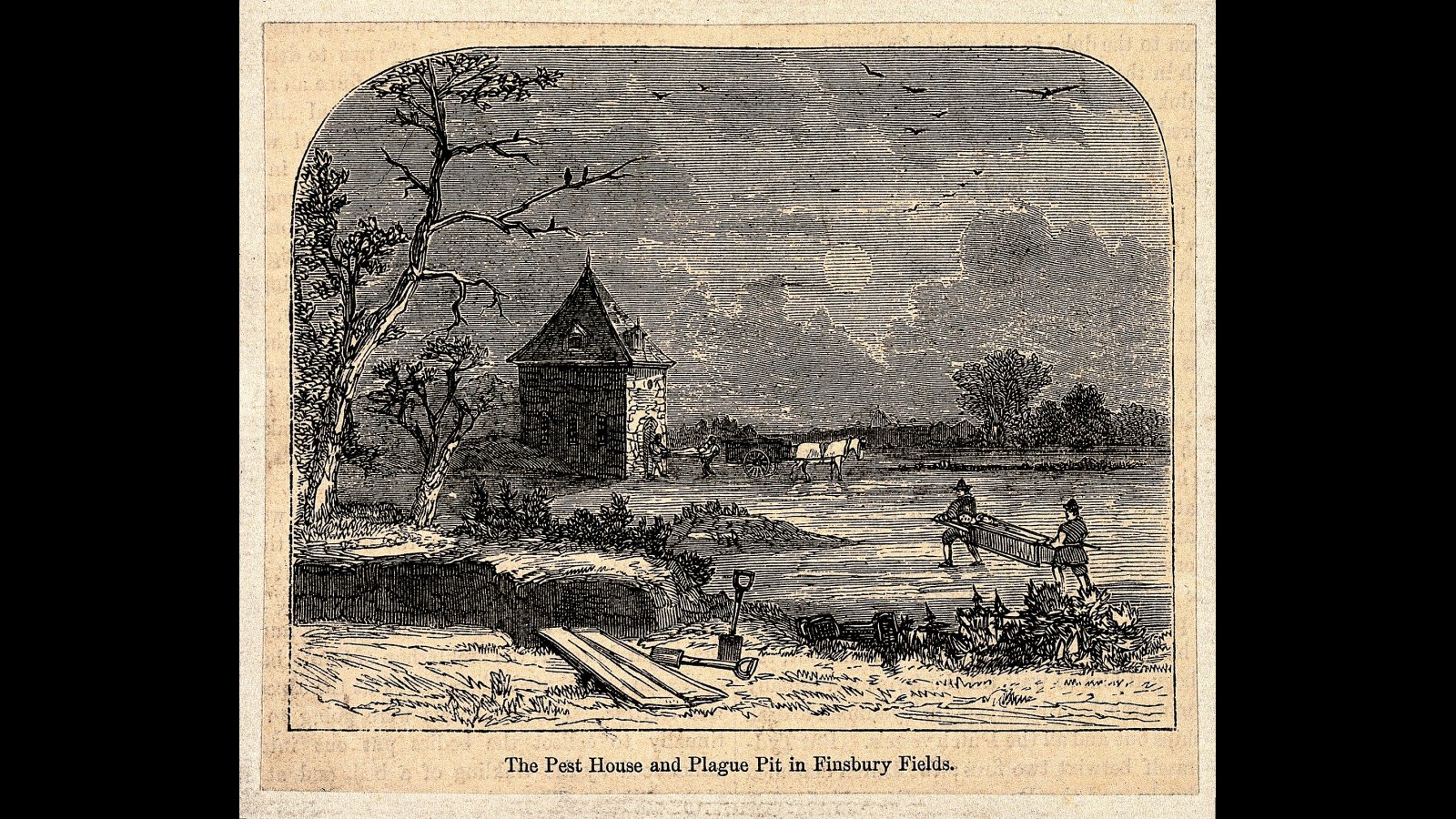 15. Les fosses communes de Londres ont été aménagées avec soin