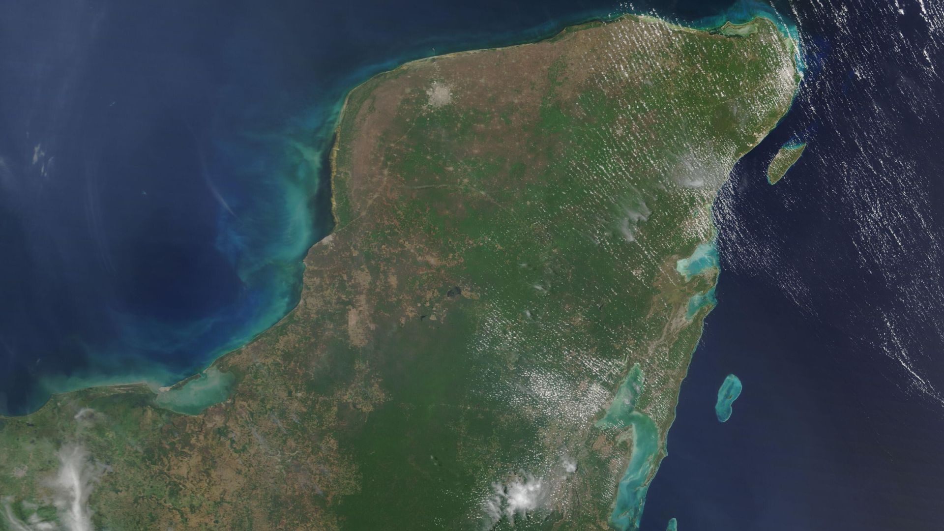 13. L'impact de Chicxulub