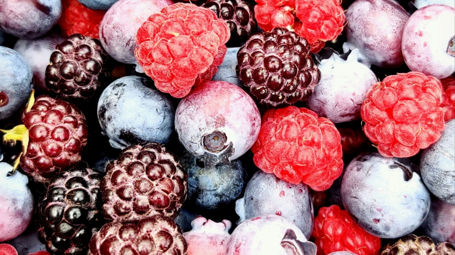 9. Produits alimentaires collectés