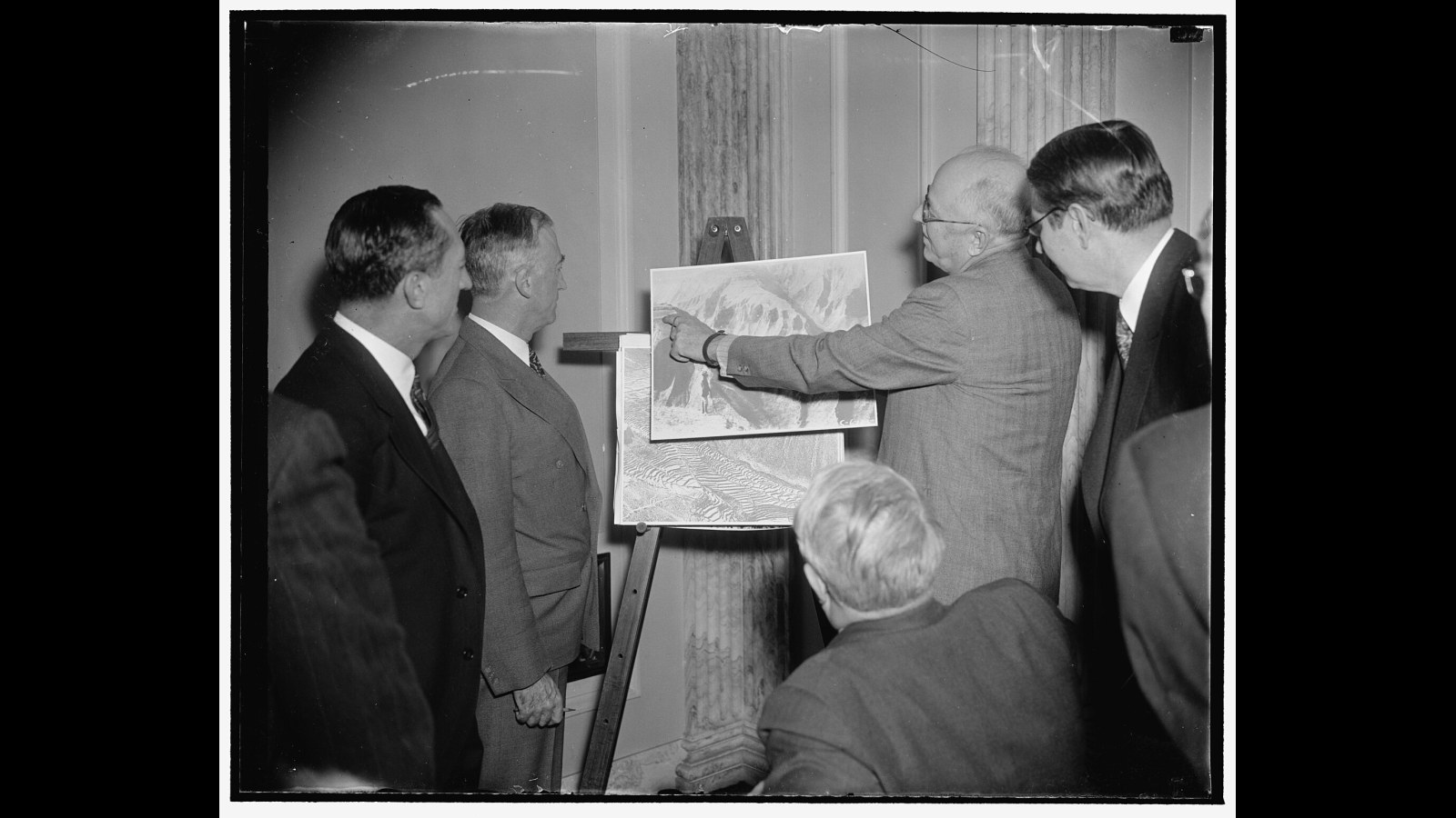 19. Kudzu Was Planted To Save Southern Soil, Then Swallowed The Forests