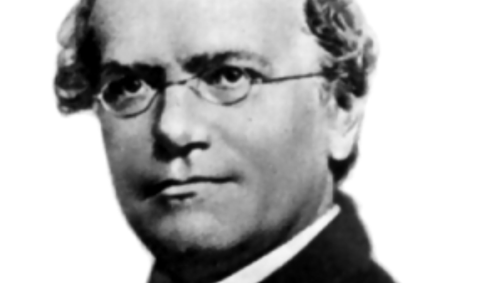 2. Gregor Mendel, ignoré pendant trente-quatre ans