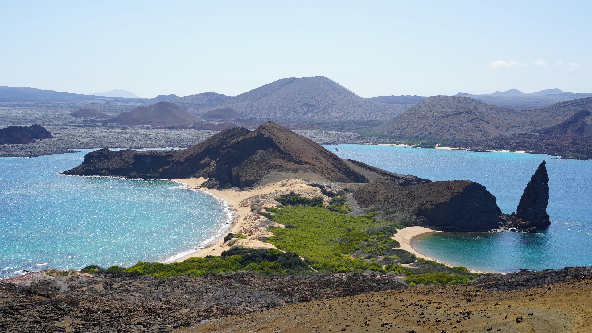 8. L'affaire des Galápagos