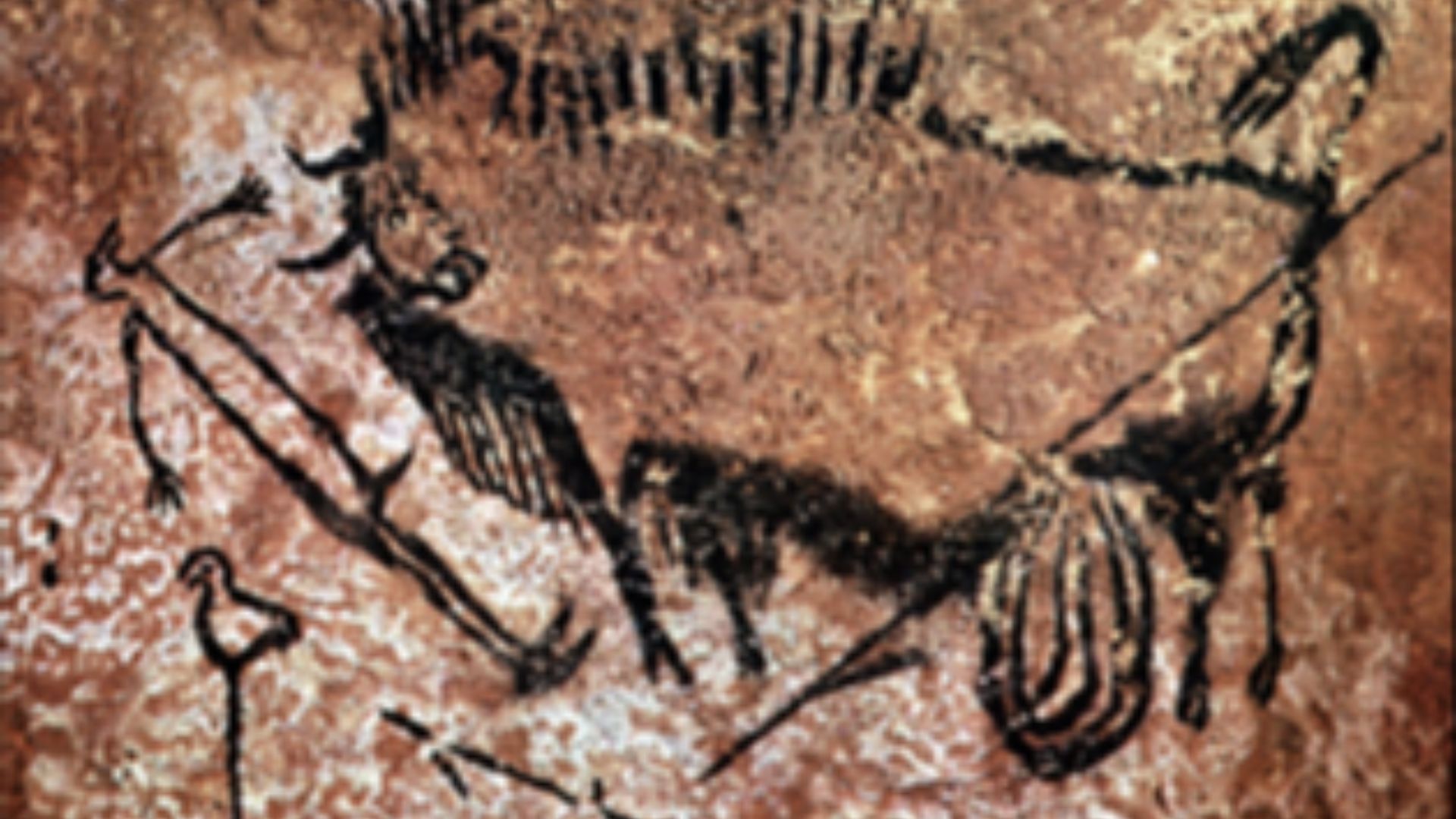 11. La protection des peintures rupestres de Lascaux