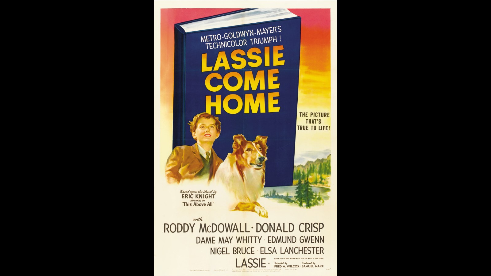 3. MGM Bet On Her With A Dog Movie