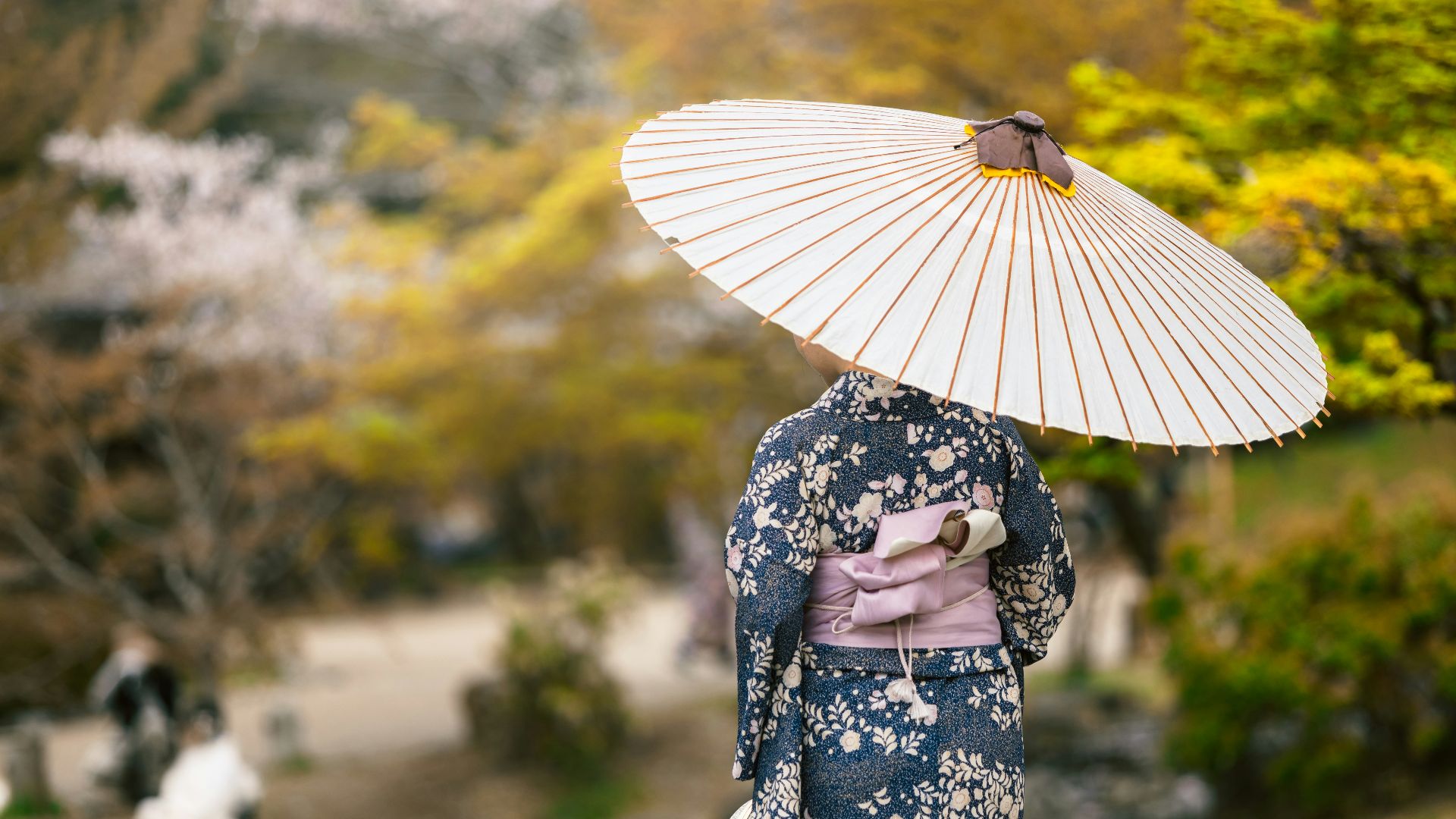 8. Les maiko parlent le dialecte de Kyoto