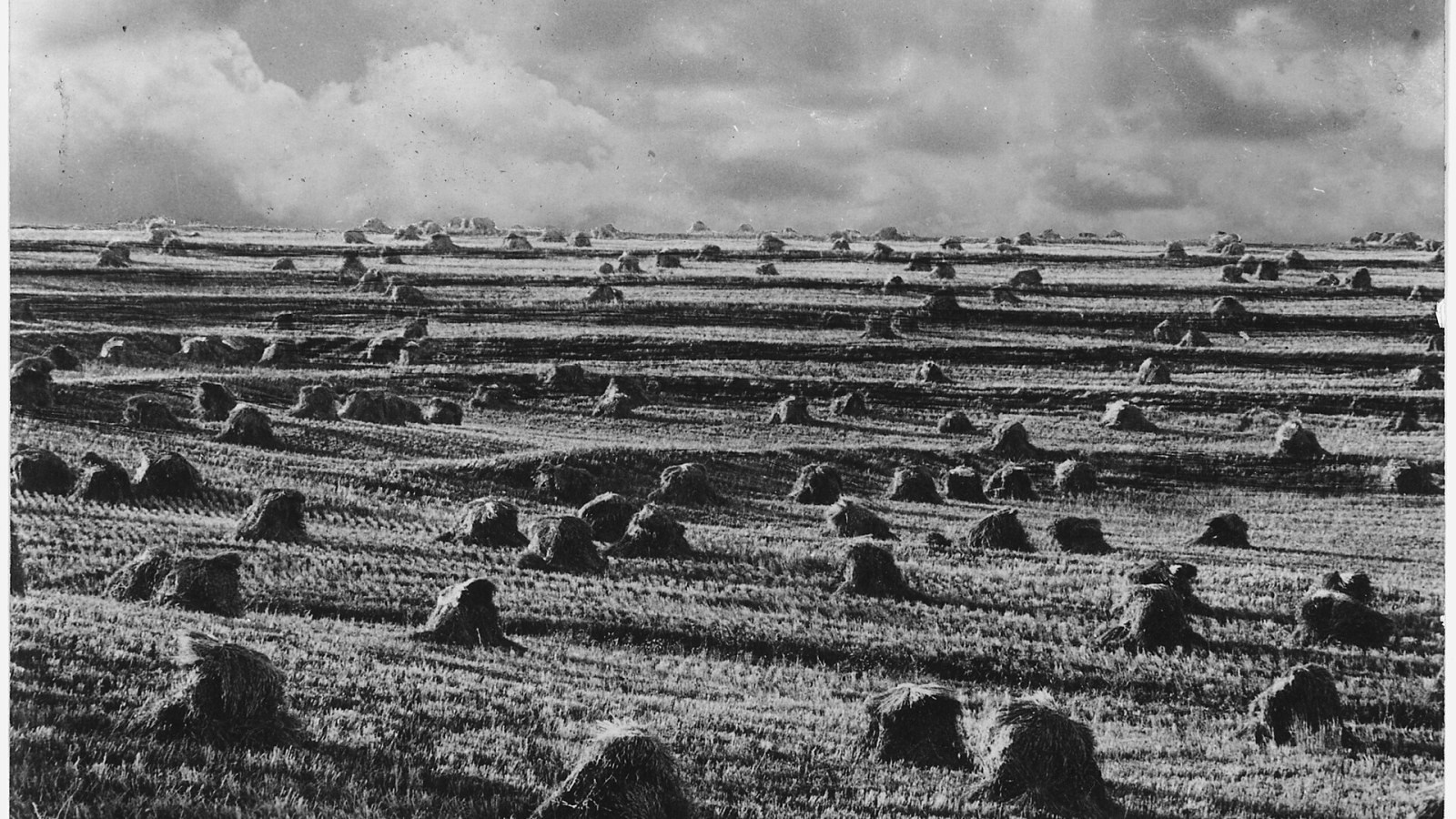 20. Le labour en courbes de niveau et la pluie mettent enfin un terme au « Dust Bowl »