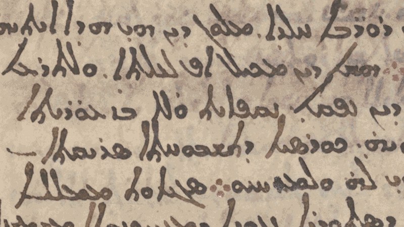 4. The Palimpsest Scraper Erased Old Texts To Save Costly Parchment