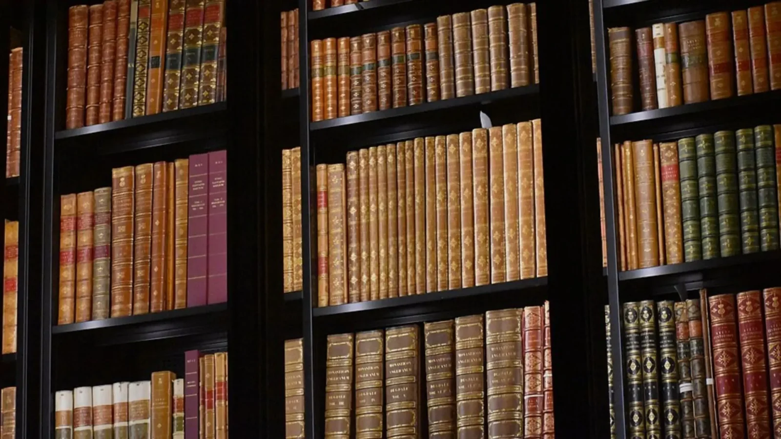 11. He Built One Of The Greatest Libraries In Britain