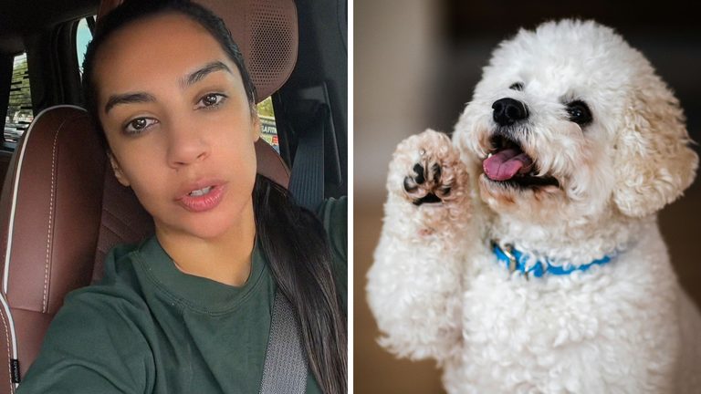 Texas woman’s dog has perfect blood work at the vet. Then she learns something horrifying