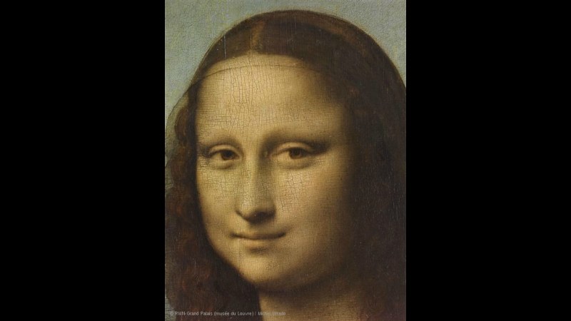17. Léonard de Vinci a passé des années à peindre les reflets sur l'ensemble du visage de la Joconde