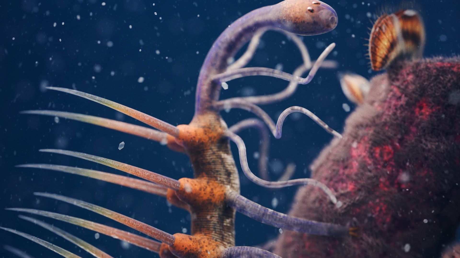 3. Hallucigenia