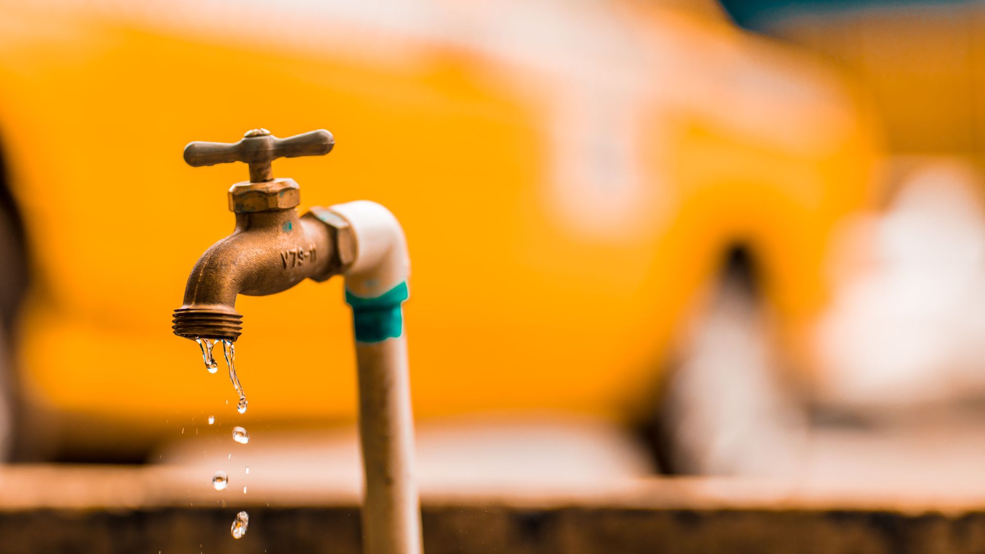 13. Les analyses de l'eau ont été confiées au soumissionnaire le moins-disant