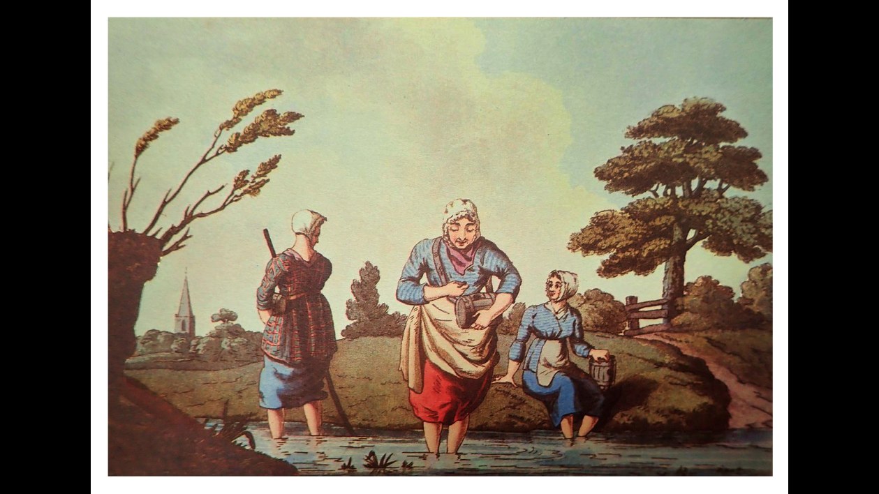 3. Leech Collectors Used Their Own Legs To Catch Medicine