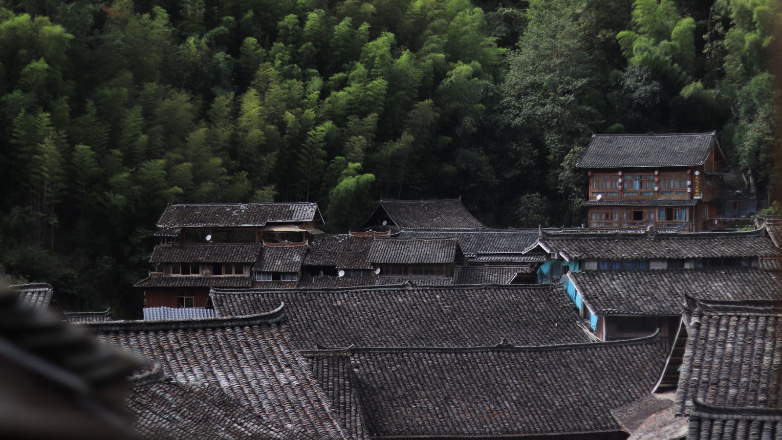 5. Song Ci s'est servi de mouches bleues pour démasquer un meurtrier dans la Chine médiévale