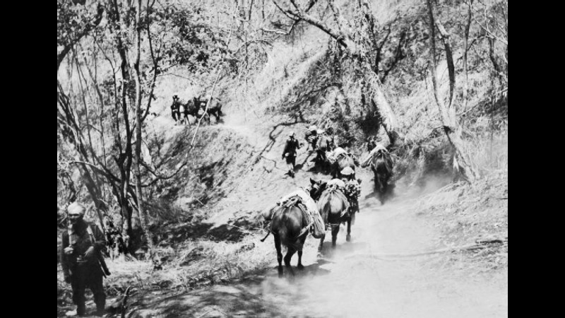 17. Des mules de bât transportaient des dépêches à travers les Alpes et la Birmanie