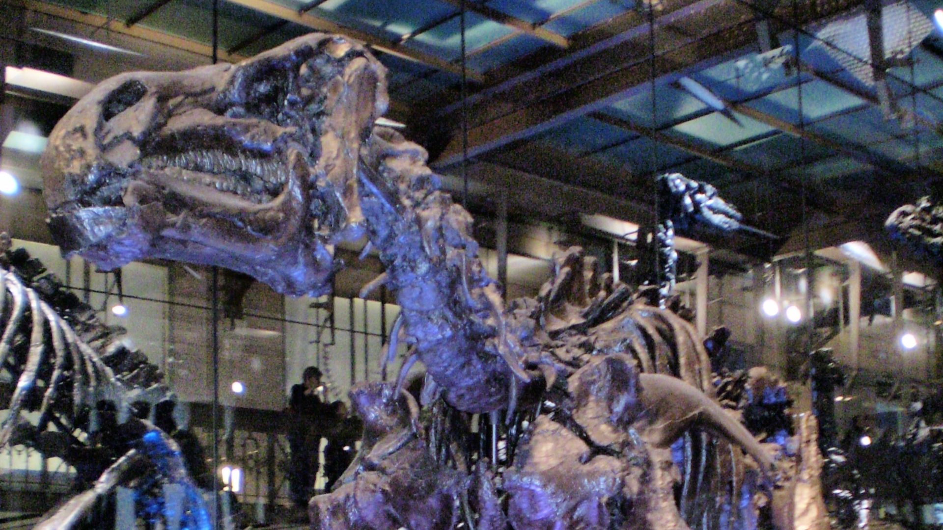 1. La pointe du pouce de l'Iguanodon lui a transpercé le nez