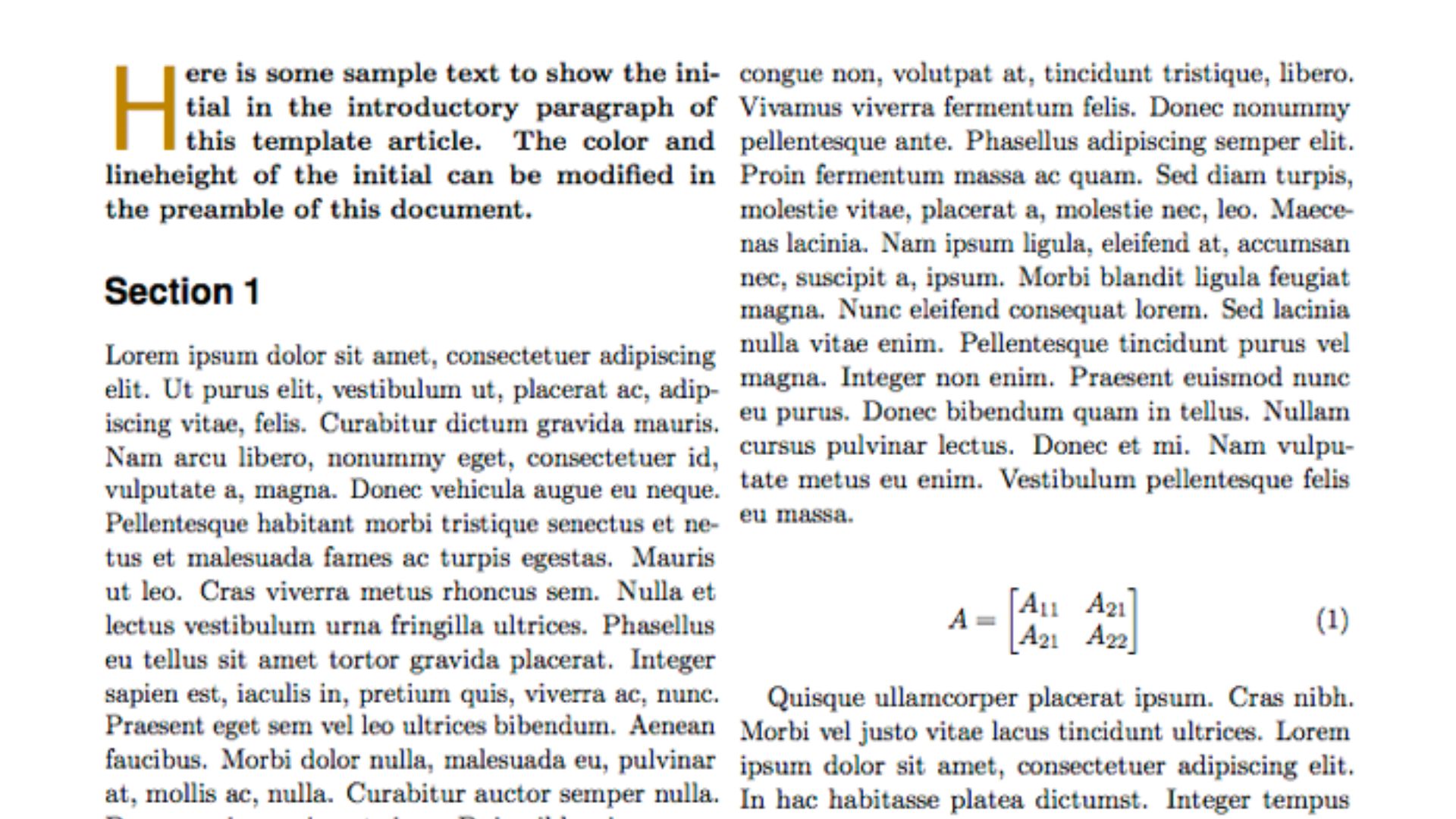 20. Lorem Ipsum
